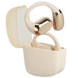 Earhook LED Charging Case Sports Earbuds